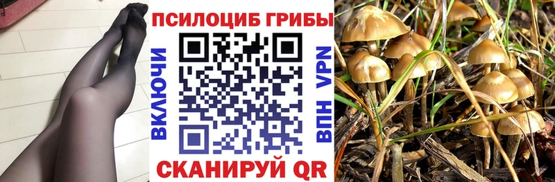 где купить наркоту  Нефтеюганск  Галлюциногенные грибы прущие грибы 