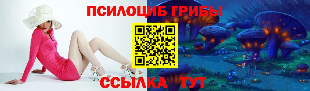Галлюциногенные грибы Psilocybine cubensis Нефтеюганск